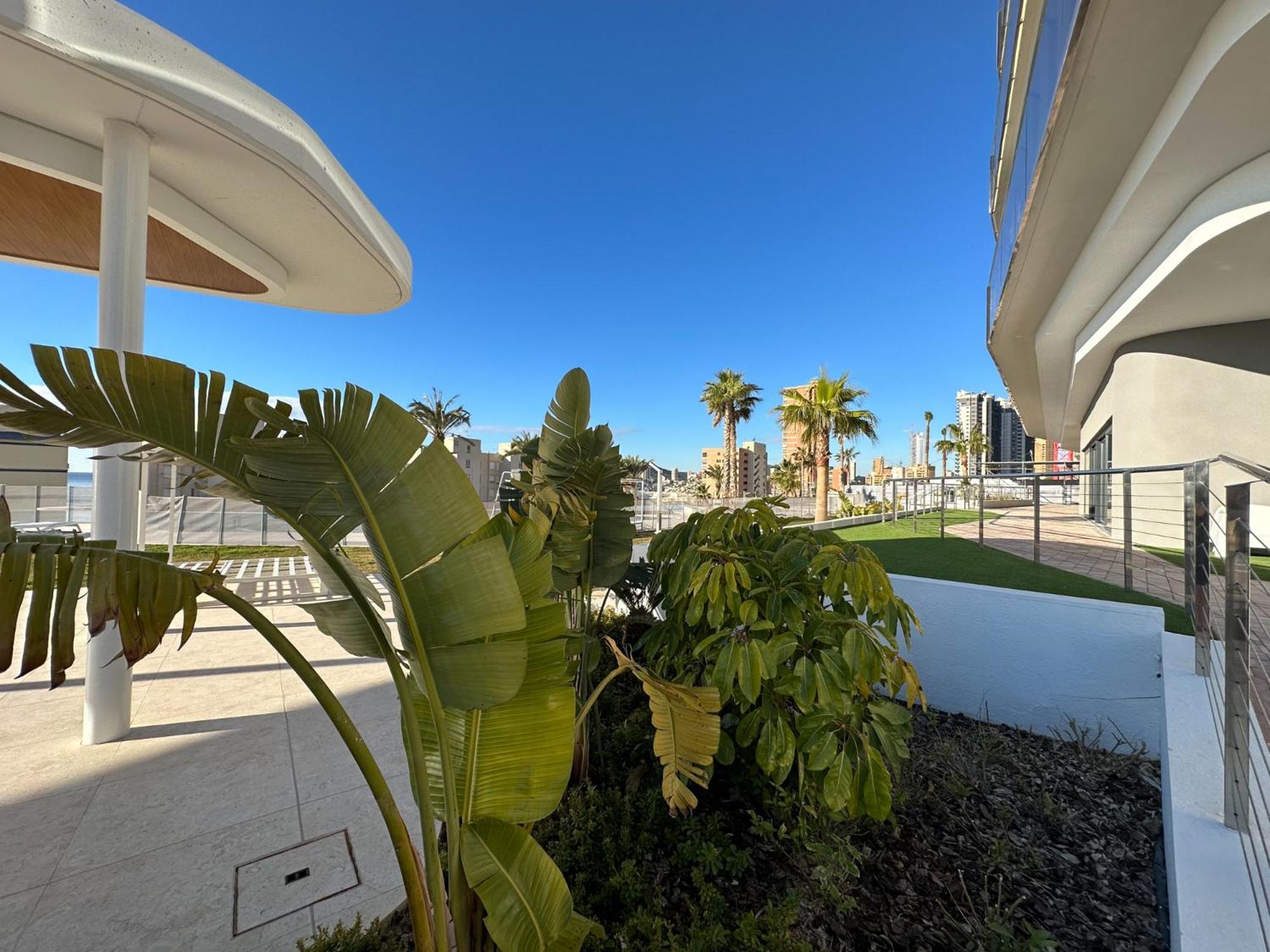 Sunset Cliffs Vip Apartament